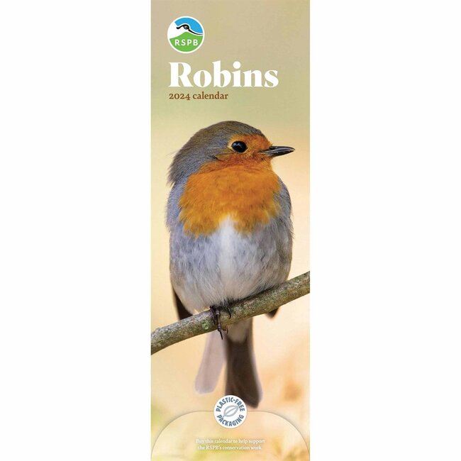 Red Robins Slimline Calendar 2025