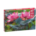 CherryPazzi Puzzle de flores de loto rosa 500 piezas