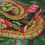 Puzzle Iguana Increíble 500 Piezas