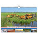 Comello Calendario panoramico Olanda 2025