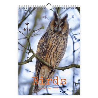 Comello Calendario Aves 2025