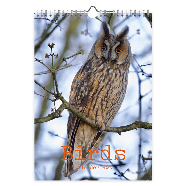 Comello Birds Calendar 2025