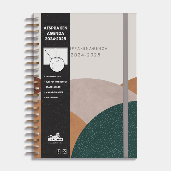 A4 Ring binder Appointment Diary 2025 - 2025 Modern