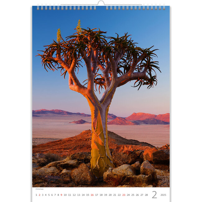 Buying Trees Trees Calendar 2025? Quick and easy online