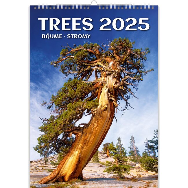 Arbres - Calendrier des arbres 2025