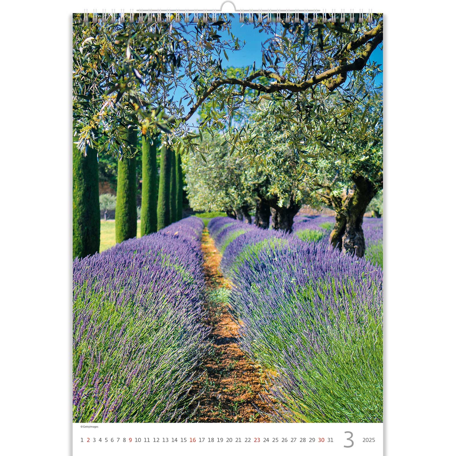 Buying Provence Calendar 2025? Quick and easy online Kalenderwinkel.nl