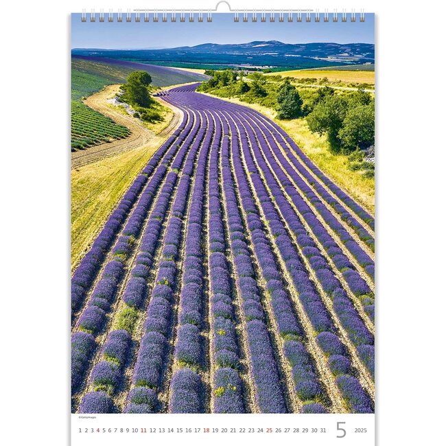 Provence Kalender 2025 Kopen? - Eenvoudig en snel online - Kalenderwinkel.nl