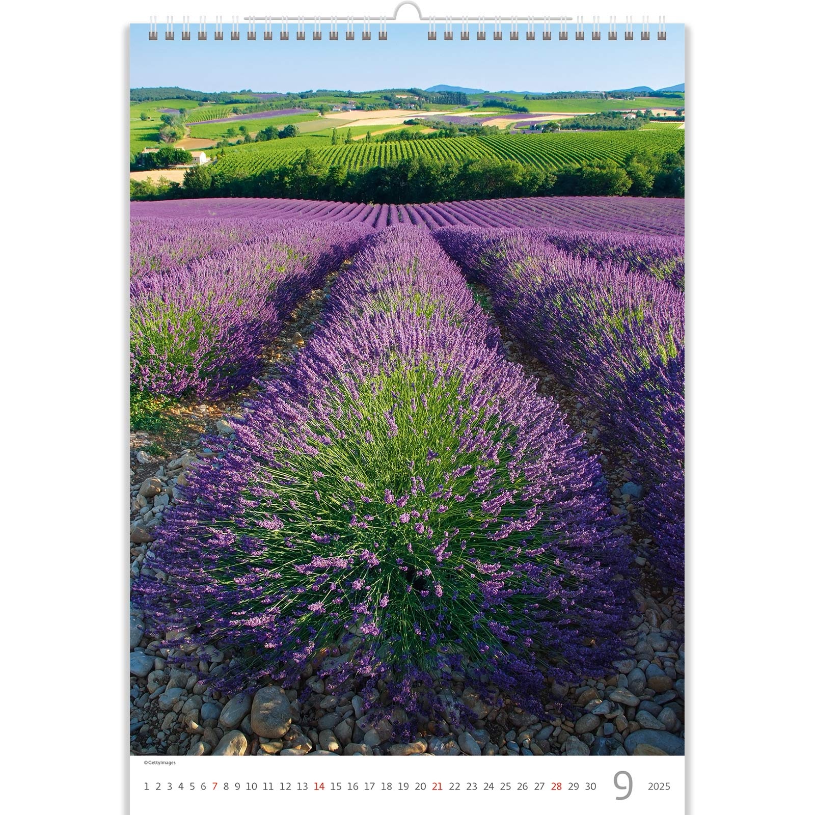 Buying Provence Calendar 2025? Quick and easy online Kalenderwinkel.nl