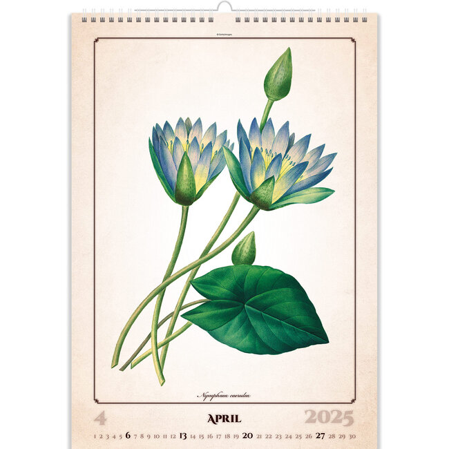 Buying Herbarium Calendar 2025? Simply and quickly online