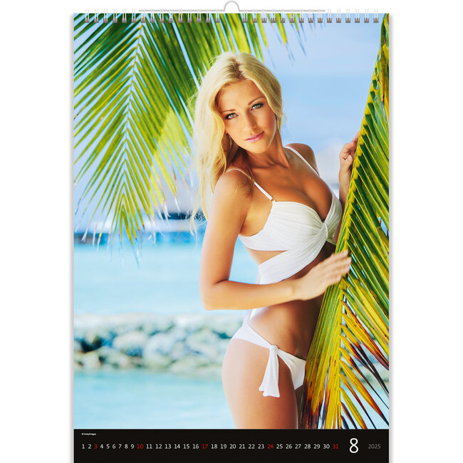 Buying Hot Girls Calendar 2025? Quick and easy online Kalenderwinkel.nl