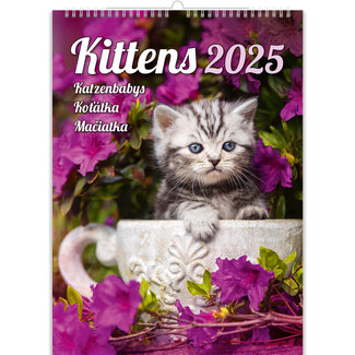 Helma Calendario gattini 2025