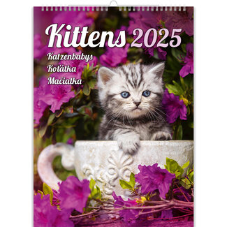 Helma Kittens Calendar 2025