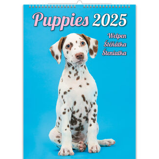 Helma Puppies Kalender 2025