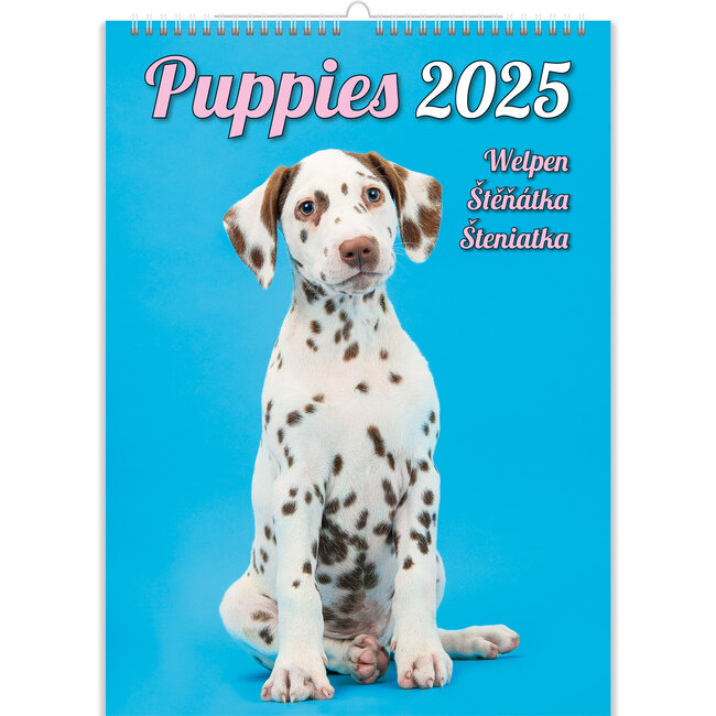 Puppies Calendar 2025