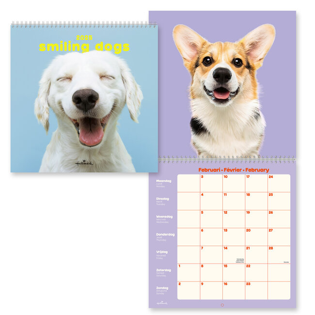 Dogs Calendar 2025
