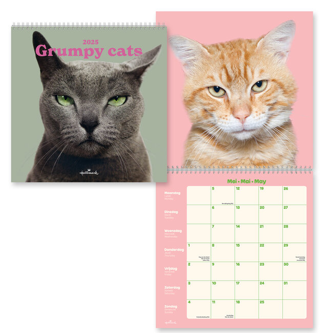 Cats Calendar 2025