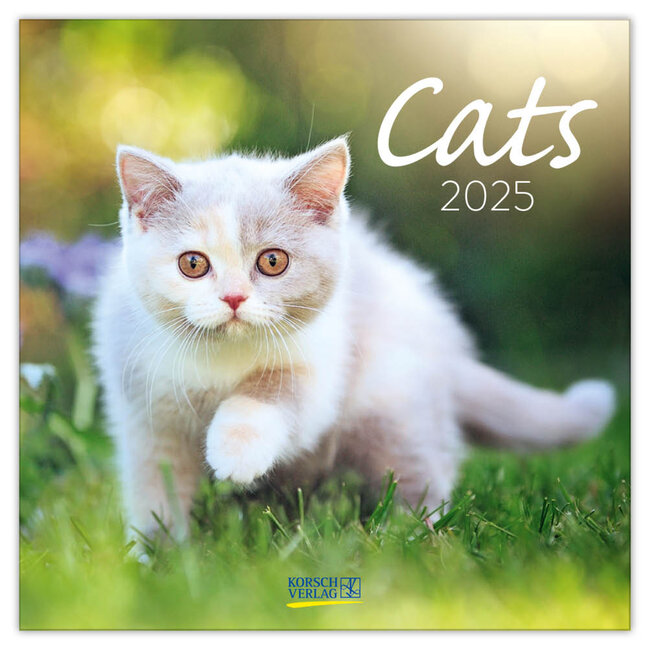 Calendario dei gatti 2025
