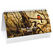 Comello Rien Poortvliet Desk Calendar 2025