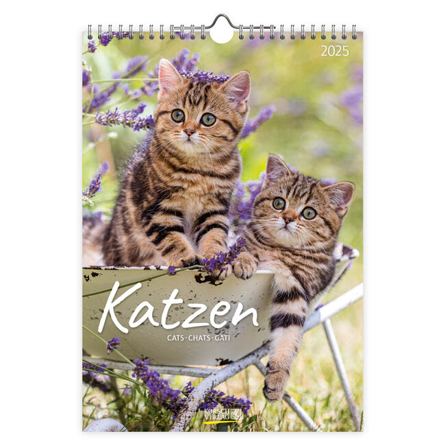 Korsch Verlag Calendario dei gatti 2025 grande