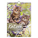 Korsch Verlag Cat Calendar 2025 Large