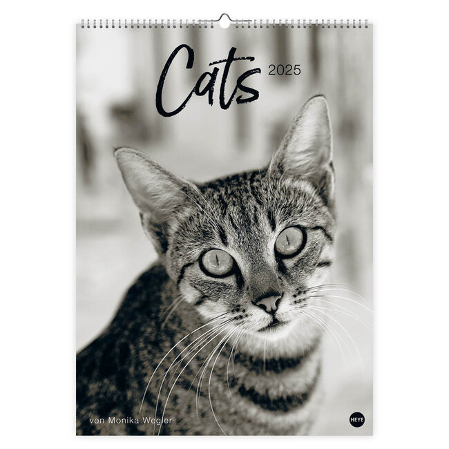 Calendrier des chats 2025