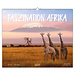Korsch Verlag Faszination Afrika Kalender 2025