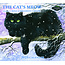 Pine Ridge The Cat's Meow Calendar 2025