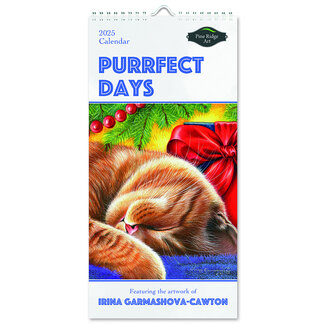 Pine Ridge Purrfect Days Calendar 2025 Small