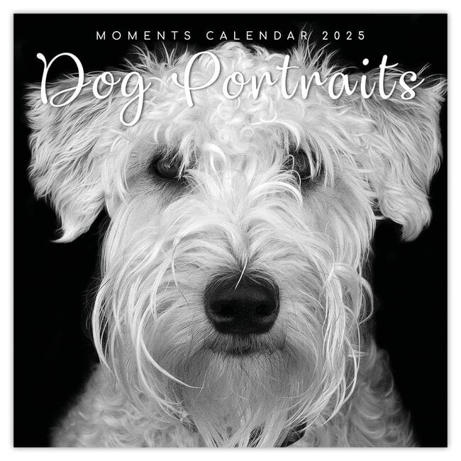 Calendrier Portraits de chiens 2025