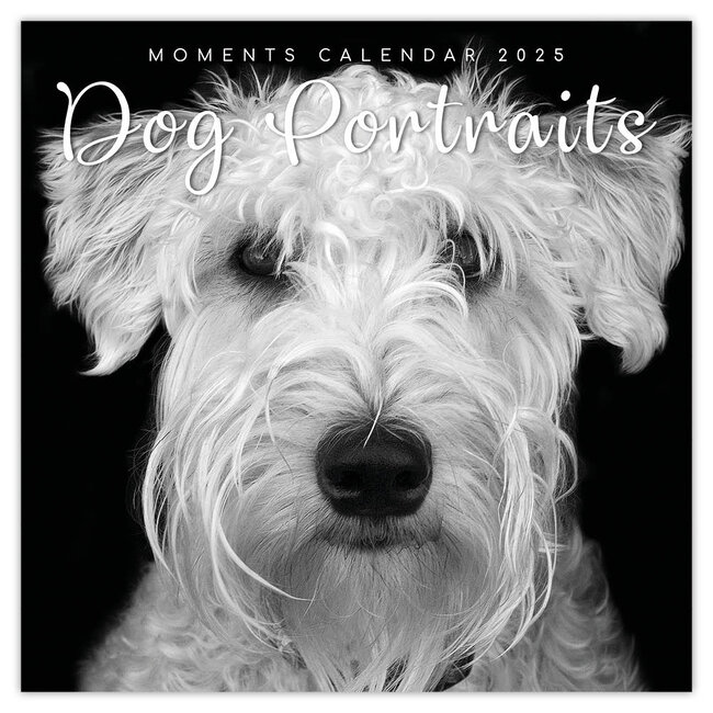 Hundeportraits Kalender 2025