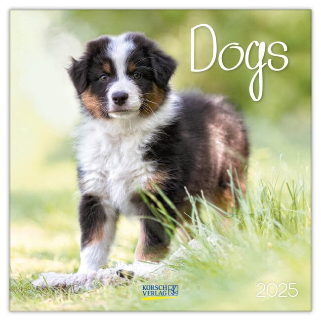 Buying Dogs Calendar 2025 simply order online Kalenderwinkel.nl