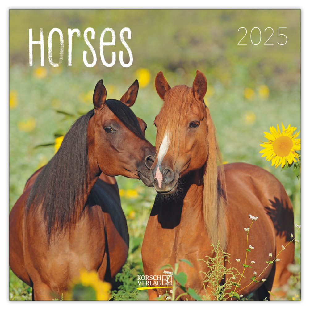 Paarden Kalender 2025