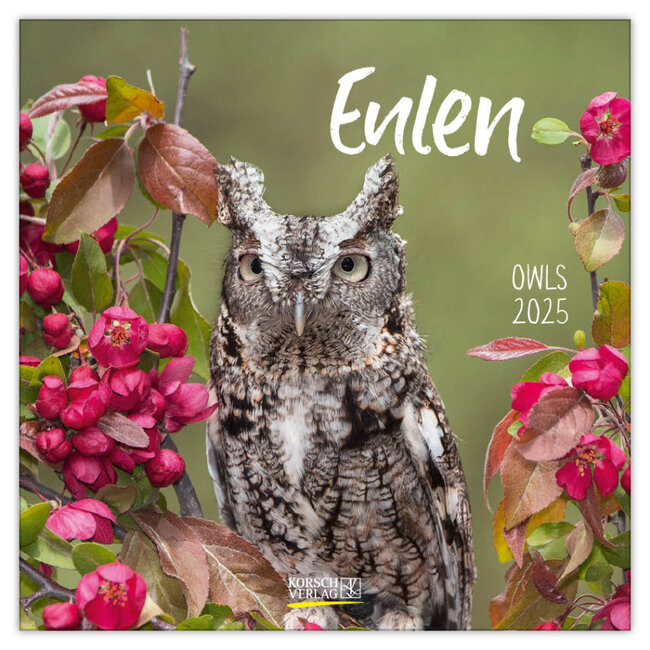 Eulen Kalender 2025