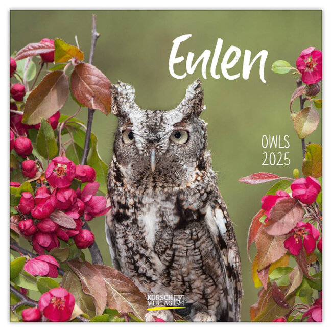 Korsch Verlag Eulen Kalender 2025