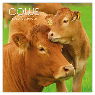 The Gifted Stationary Calendrier des vaches 2025