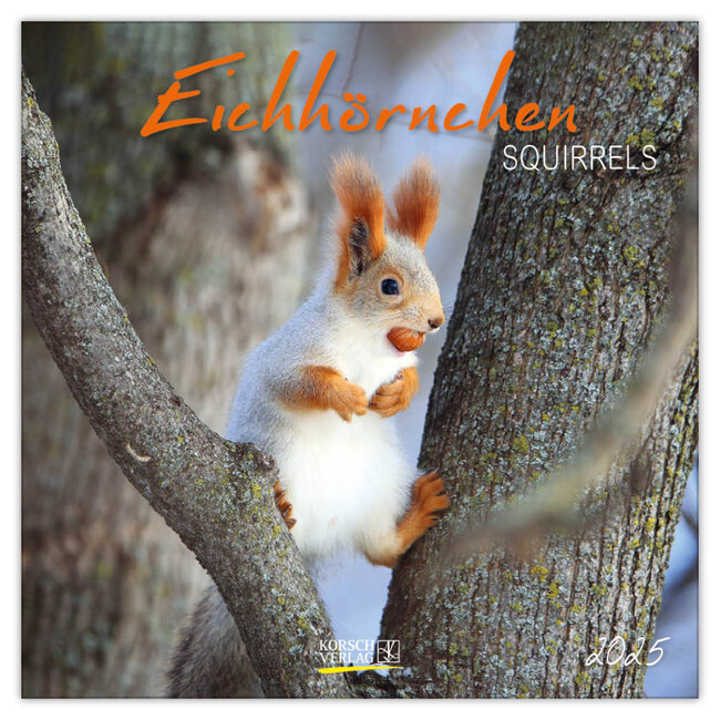 Squirrel Calendar 2025 Buy? Order online quickly and easily