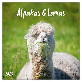 Korsch Verlag Alpaca Calendar 2025