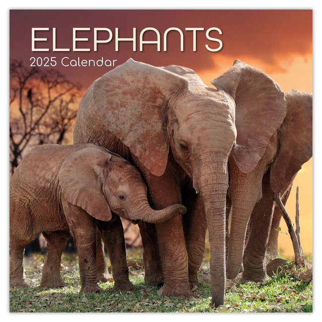 Elephant Calendar 2025