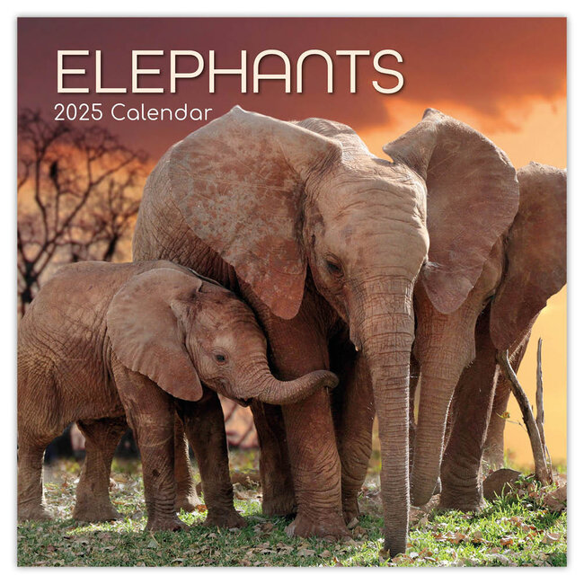 The Gifted Stationary Elephant Calendar 2025