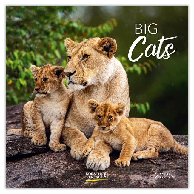 Big Cats Calendar 2025