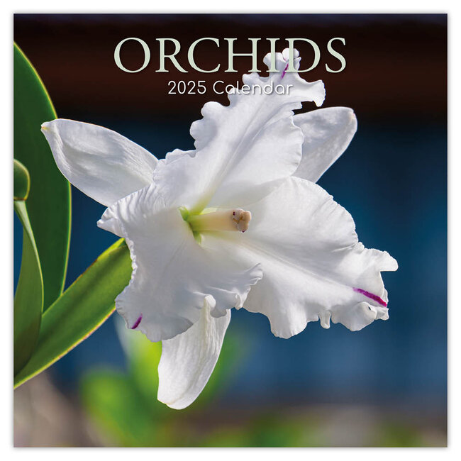 Calendrier des orchidées 2025