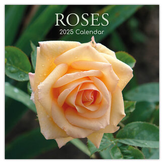 The Gifted Stationary Rozen -  Roses Kalender 2025