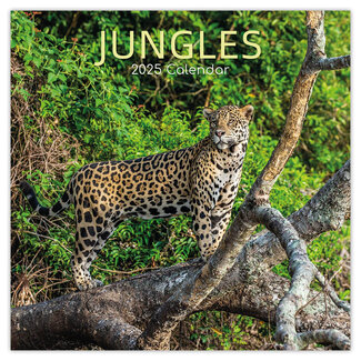 The Gifted Stationary Jungles Kalender 2025