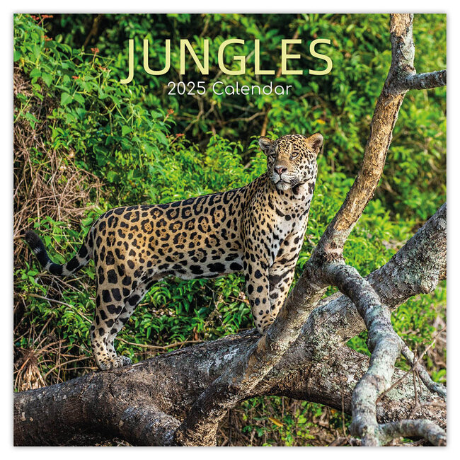 Jungles Kalender 2025