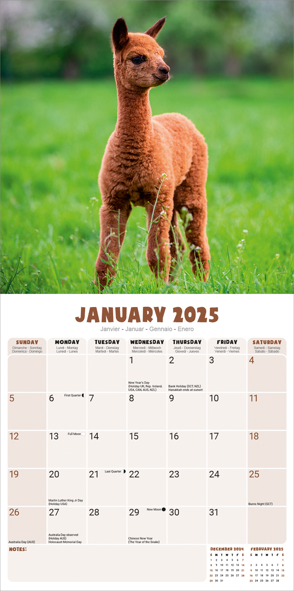 Alpaca Kalender 2025 Kopen? Bestel eenvoudig online - Kalenderwinkel.nl