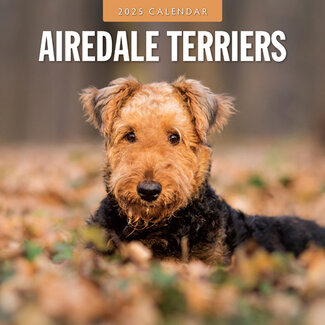 Red Robin Airedale Terrier Calendar 2025