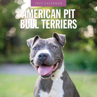 Red Robin American Pit Bull Terrier Calendar 2025