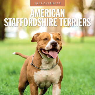 Red Robin American Staffordshire Terrier Calendario 2025
