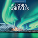 Red Robin Calendario de Auroras Boreales 2025