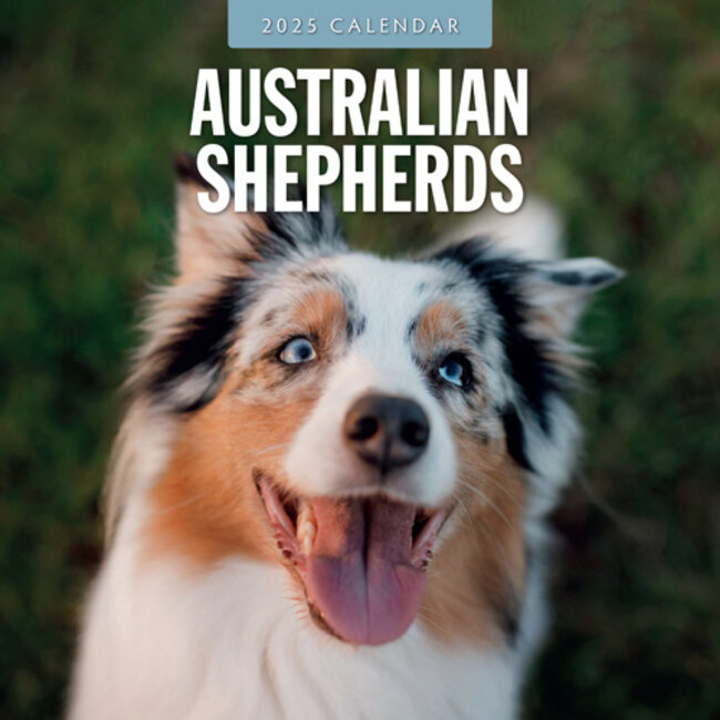 Australian Shepherd Kalender 2025 Kopen? Eenvoudig en snel online